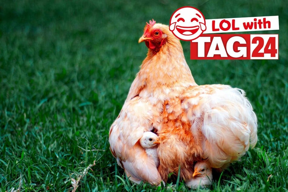 Joke of the Night for April 13, 2026: Wind down with a laugh