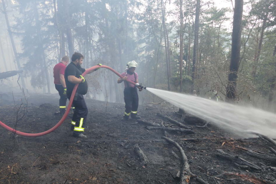 Die Feuerwehren hatten stundenlang zu tun.