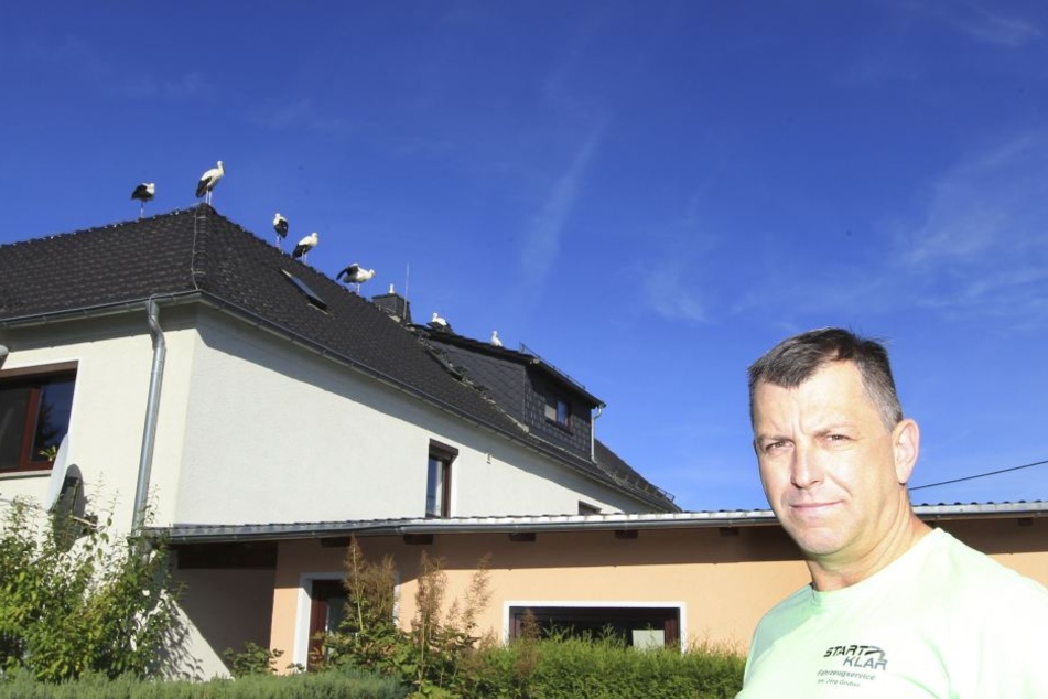 Tierisches Erinnerungs-Foto: Jörg Gruber (51) und seine gefiederten Gäste auf dem Dach.