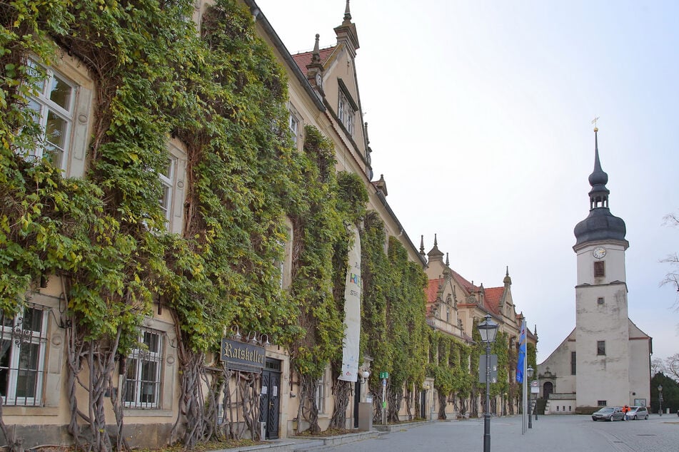 Die Stadt Riesa feiert ihr 30. Stadtfest.