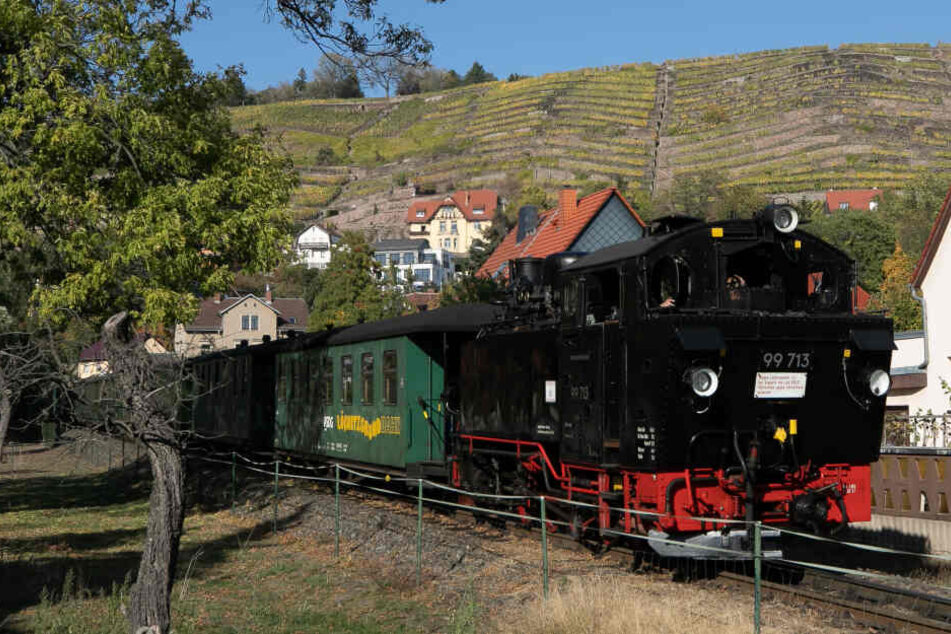 Die Lößnitzgrundbahn.
