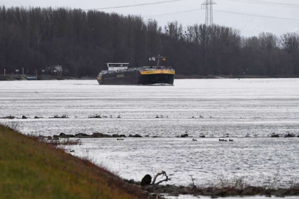 Ein Schiff fährt bei Karlsruhe Maxau auf dem Rhein.