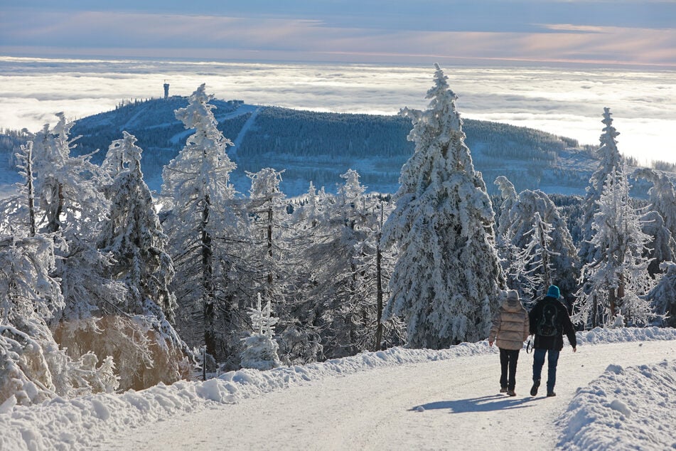 Wenn Schnee gefallen ist, sieht der höchste Berg in Sachsen-Anhalt ganz besonders schön aus.