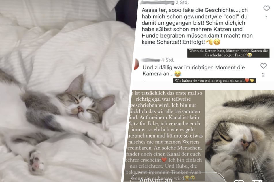 Einige Follower hatten Zweifel, ob Bubu wirklich verschwunden war.