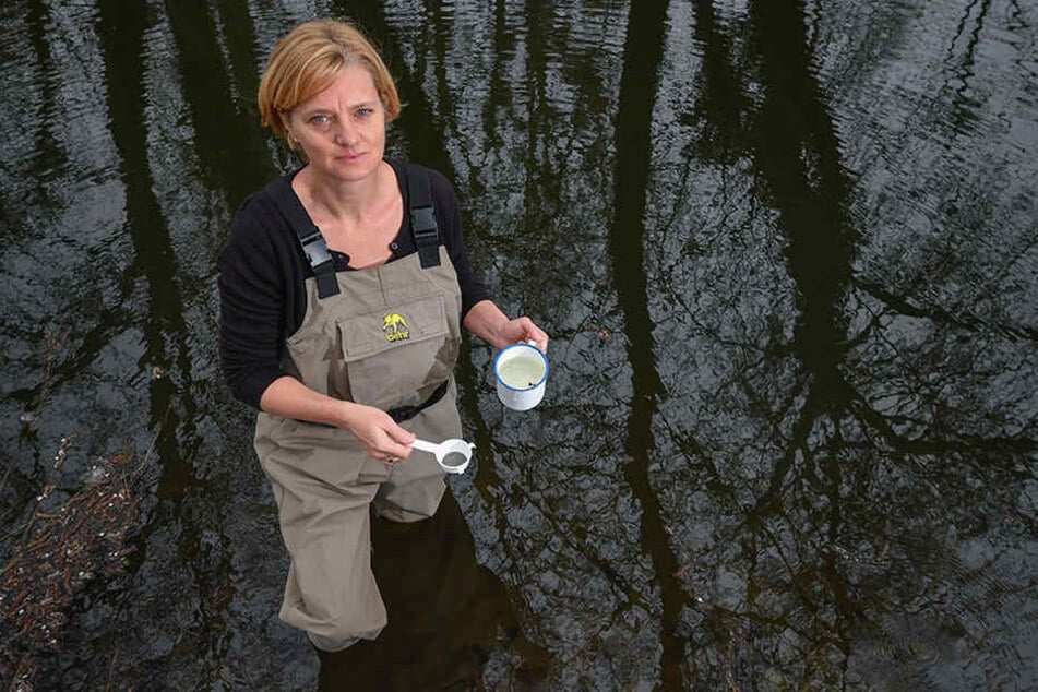 Wenn sich einer mit Mücken auskennt, dann die Biologin Doreen Walther. In einem Tümpel sucht die Expertin nach Mückenlarven.