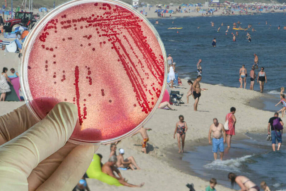 Tödliche Gefahr in der Ostsee: Behörden warnen vor fiesen Bakterien