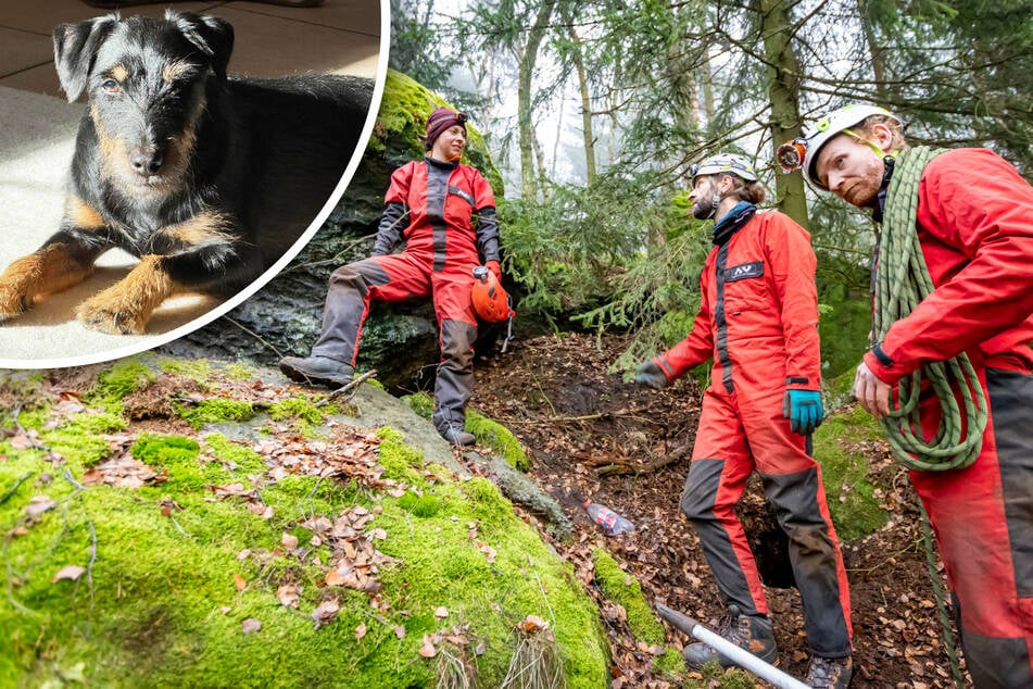 Wo ist Jagdhund Baldur? Höhlenretter an tschechischer Grenze im Einsatz
