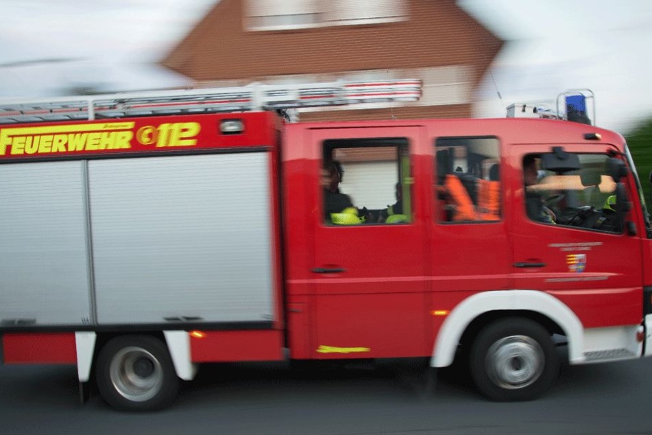 Das hatte die Feuerwehr sicherlich auch noch nicht erlebt... (Symbolbild).