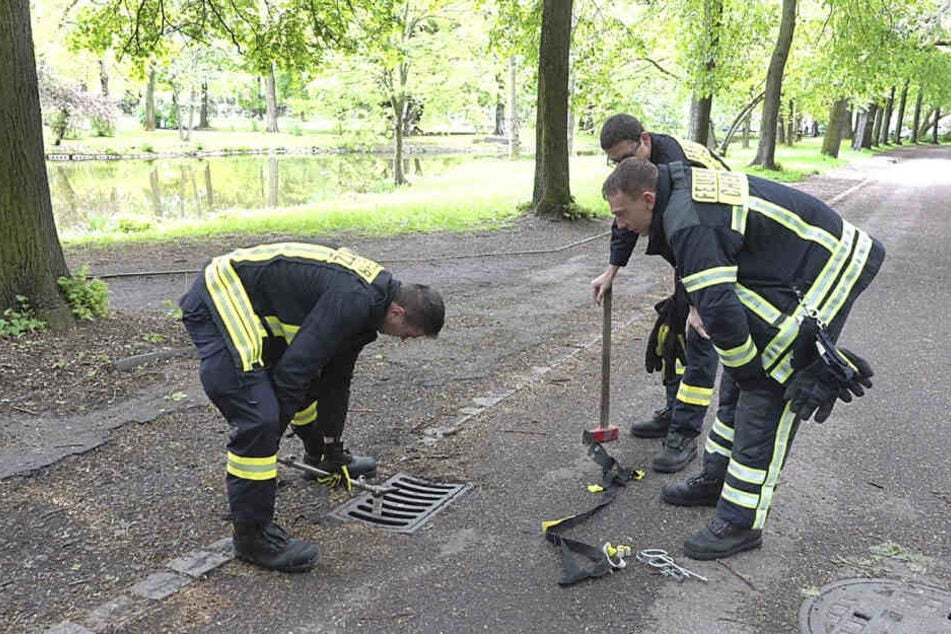 Die Kameraden der Feuerwehr Chemnitz hoben den Gully heraus und retteten das Küken.