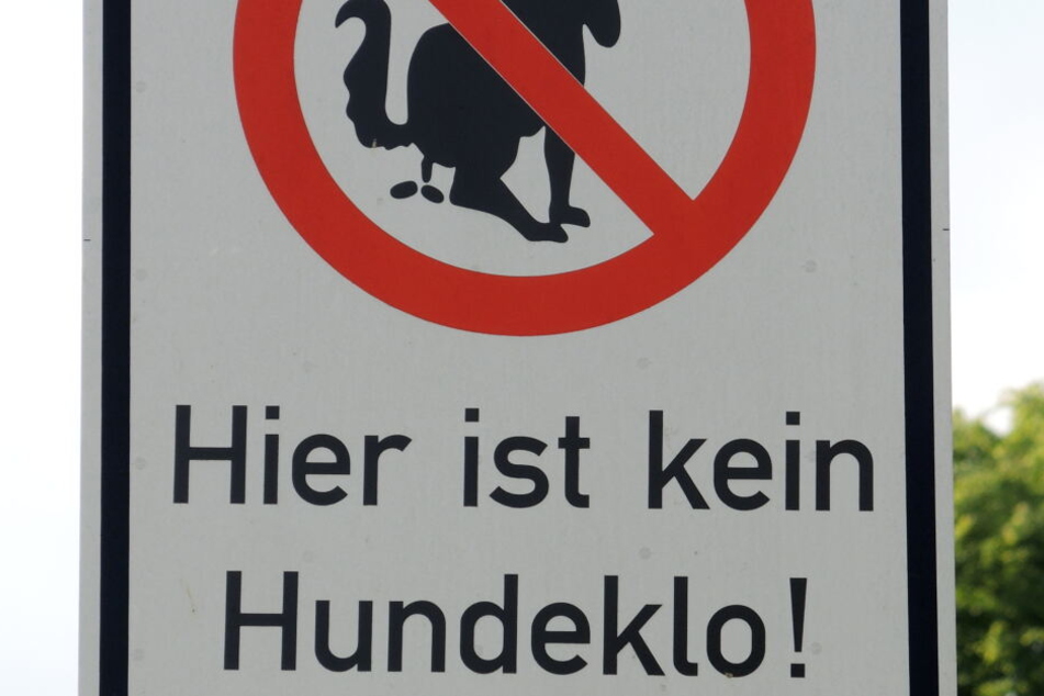 Ein Schild weist daraufhin, die Grünfläche nicht als Hundeklo zu missbrauchen, trotzdem wird das im Park immer wieder gemacht. (Symbolbild)