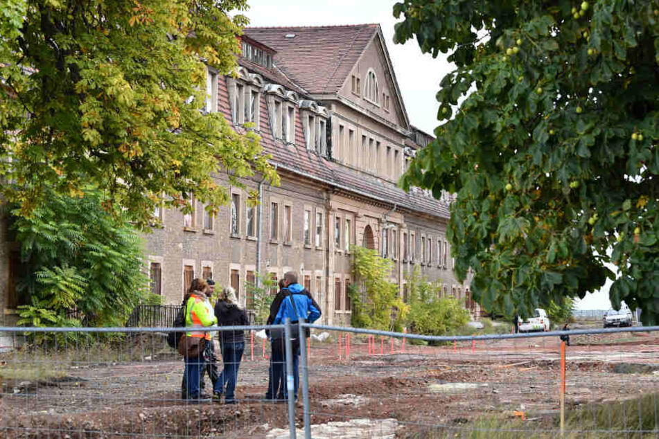 Auf dem Petersberg wird derzeit für die Bundesgartenschau umgebaut.