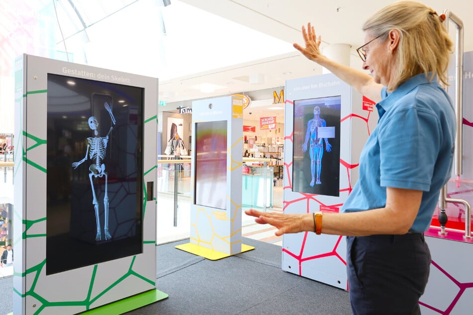 Aktuell begeistert die Ausstellung "Faszination Mensch" in Gera mit interaktiven Angeboten und Experimenten.