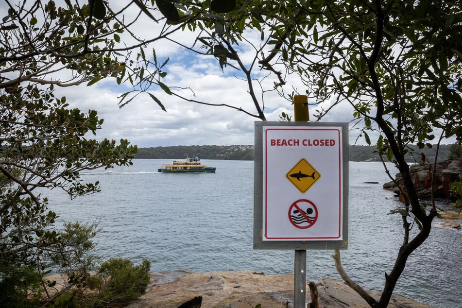 Ein kleiner Aussichtspunkt auf dem Hermitage Foreshore Walk in der Nähe des Shark Beach im Osten von Sydney ist ein beliebter Ort zum Klippenspringen.