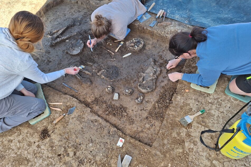 Archäologen arbeiten an der Fundstätte bei Eichendorf. Die Knochen und Grabbeigaben werden später noch genauer untersucht.