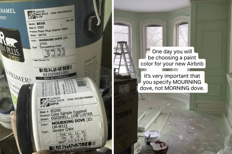 Das grelle Grün war definitiv nicht der Farbton, den sich Molly Brooke für ihre Wände vorgestellt hatte.