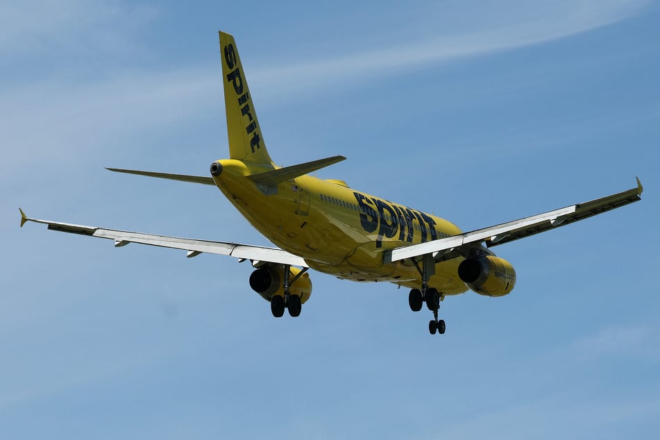 In der Maschine von Spirit Airlines gab es offenbar ein Kakerlakenproblem.