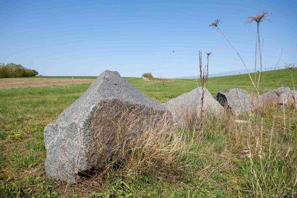 Die riesige Wiesenfläche ist momentan noch Teil eines Schutzgebietes.