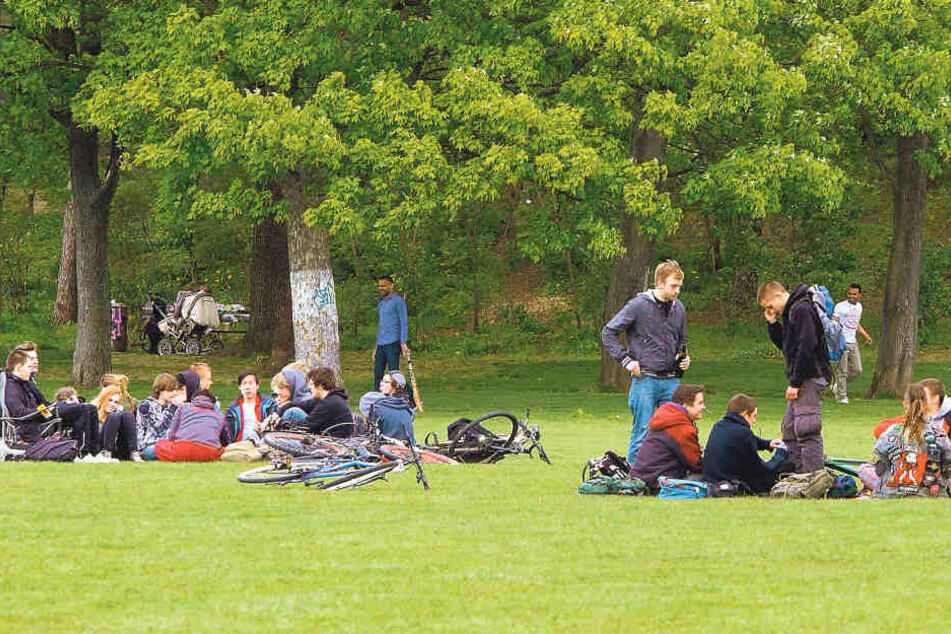 Wird, wie hier im Alaunpark, nicht nur rumgelungert, sondern auch laut
gepöbelt, greift die Besondere Einsatzgruppe ein.