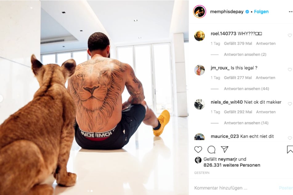 Memphis Depay zeigte seinen Followern auch sein großes Löwen-Tattoo, das seinen Rücken ziert.