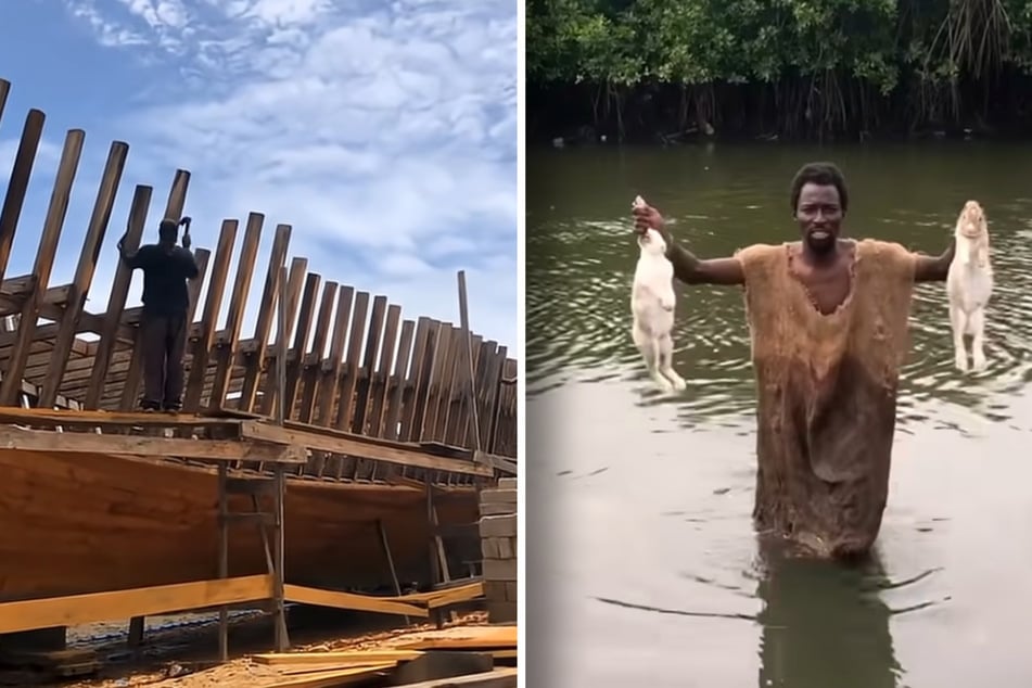 I těchto dvou králíků chtěl samozvaný prorok vzít na svou archu.