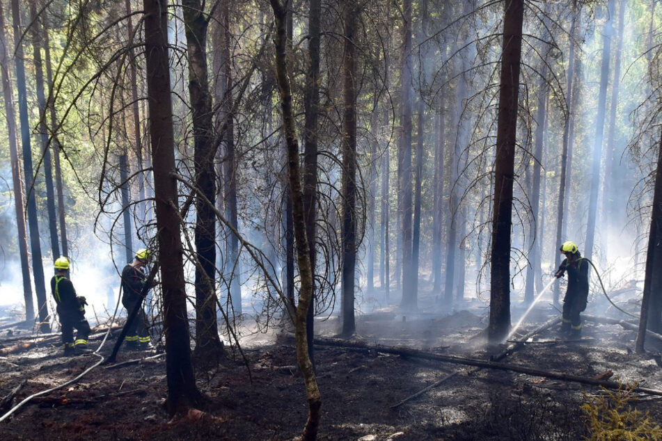 Das Feuer war am Sonntagnachmittag ausgebrochen und hatte schnell eine Fläche von rund vier Hektar Wald erfasst.