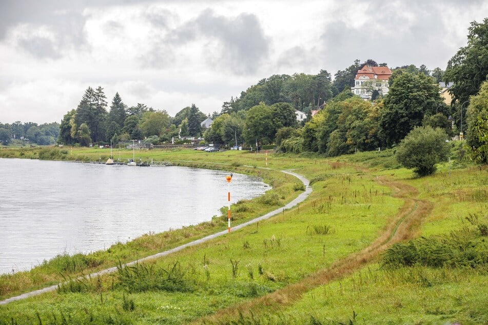 Der fehlende Elberadweg ab Altwachwitz sorgt für Frust.