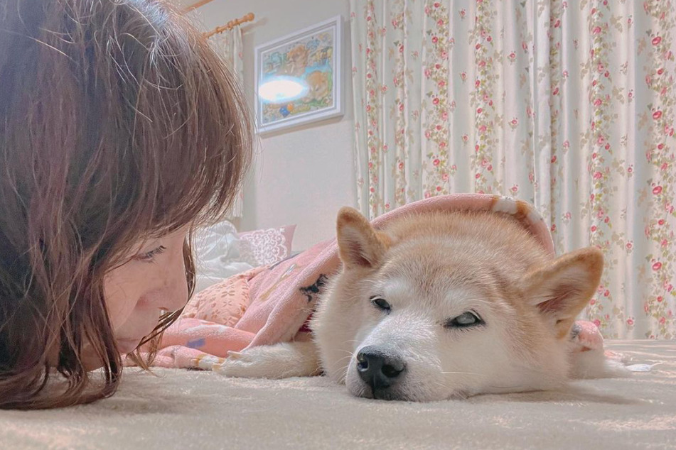 Kabosu and her owner Atsuko Sato have gotten "power from all over the world" amid the dog's health struggles, Sato said on IG.