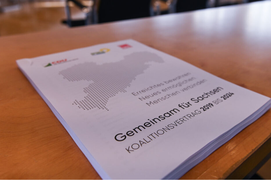 Die Parteimitglieder müssen jetzt entscheiden, ob sie den Koalitionsvertrag akzeptieren.