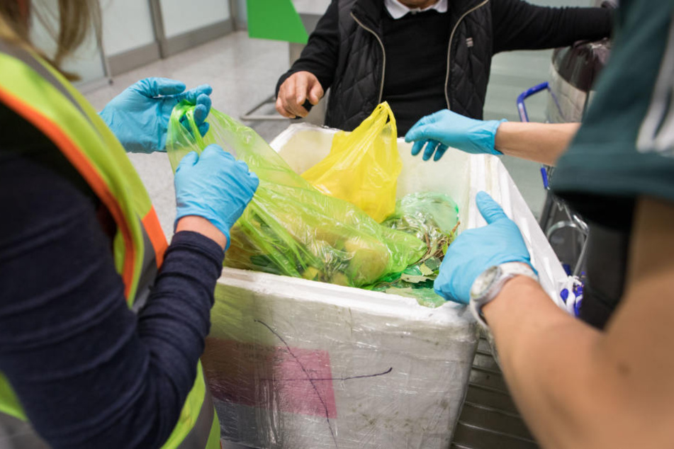 Satte 5337 Kilogramm wurden im Passagiergepäck gefunden.