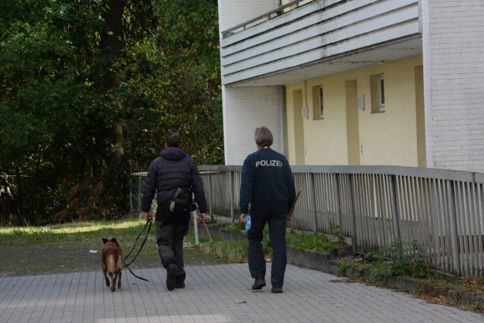 Mit einem Spürhund wurde der Tatort abgesucht.