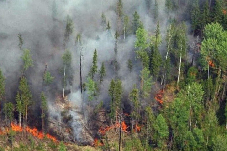 Aktuell sollen in dem Gebiet 147 Feuer wüten.