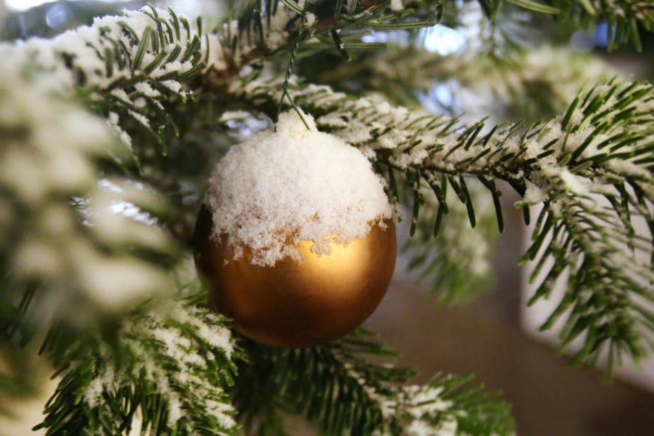 In die verschiedensten Winterwelten wird man in Eisenberg entführt.