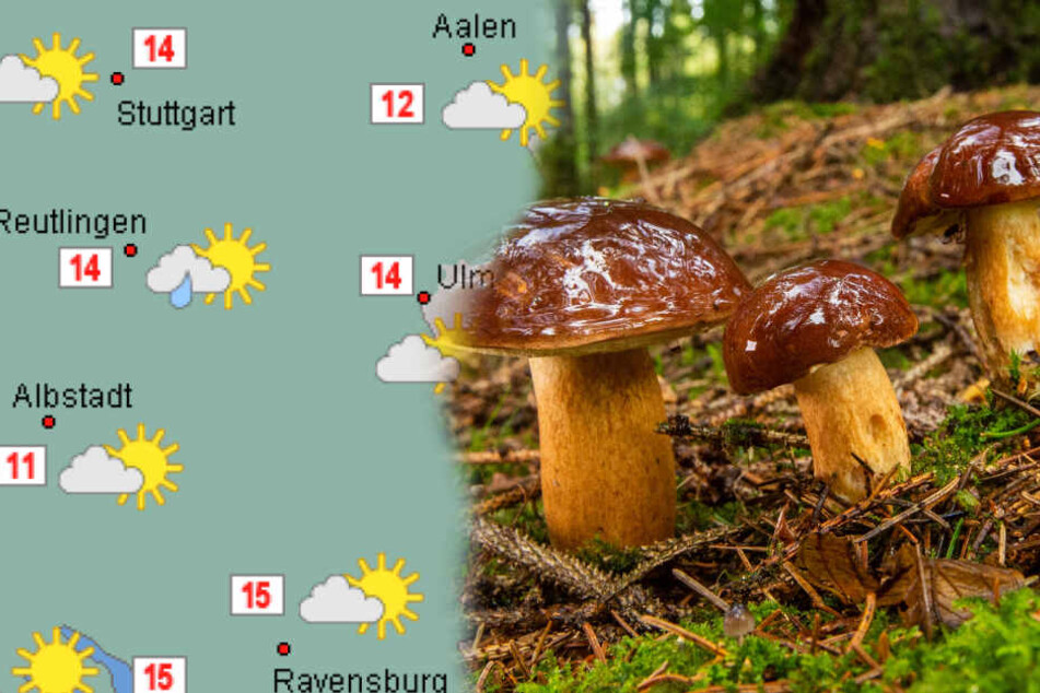 Am Tag der Deutschen Einheit wird es überwiegend schön, die Temperaturen gehen allerdings etwas runter. (Fotomontage)