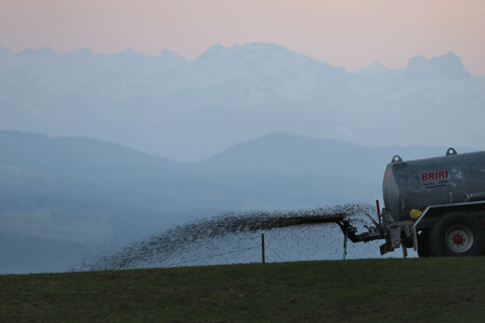 Wenn zu viel gedüngt wird, schadet das dem Grundwasser. (Archivbild)