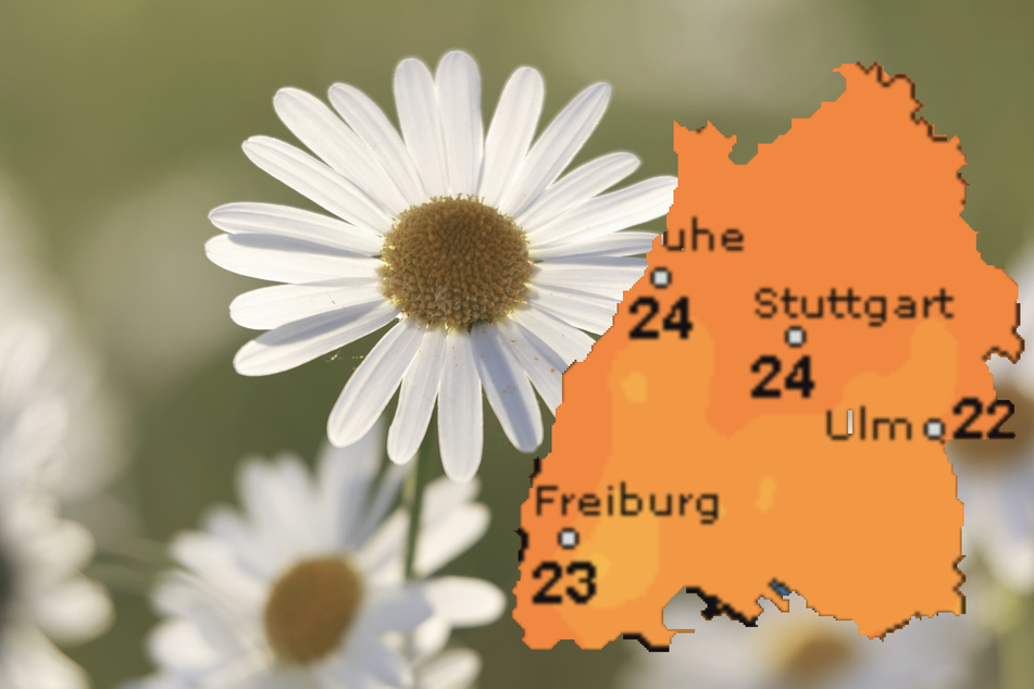 Am Sonntag erwarten die Baden-Württemberger Höchstwerte bis 25 Grad.