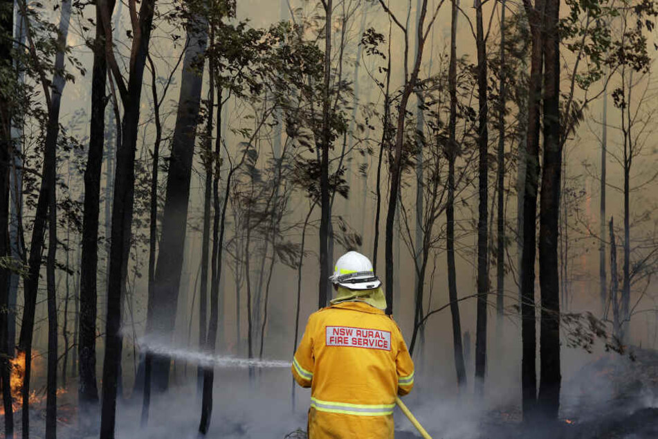Ein Feuerwehrmann kontrolliert ein Gegenfeuer, um einen größeren Brand in der Nähe einzudämmen. (Archivbild)