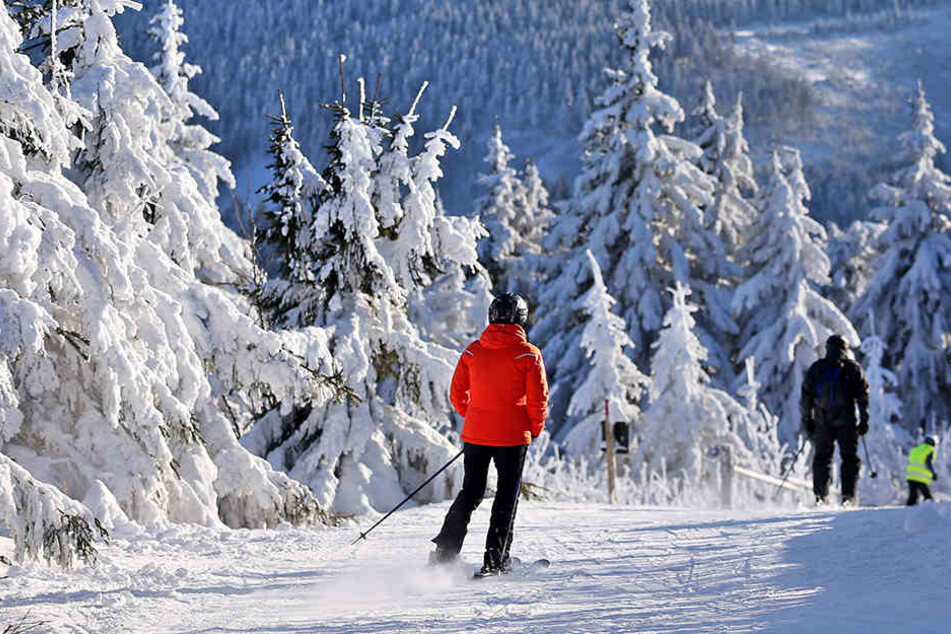 Traumhafte Bedingungen für alle Wintersportfans: Der Fichtelberg in Oberwiesenthal ist ein Mekka für Skihasen.