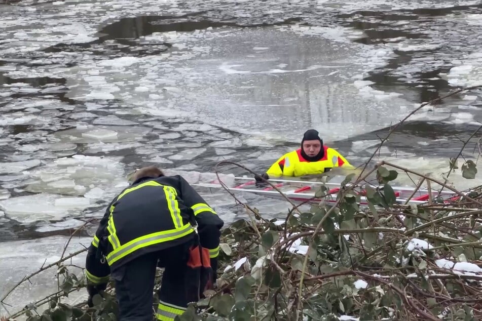 Einsatzkräfte retteten am Donnerstag eine Frau aus der Alster, die dort mit ihrem Hund unterwegs war.