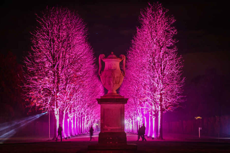 Besonders am Abend erfreut der Christmas Garden seine Besucher mit kreativen Lichtinstallationen.
