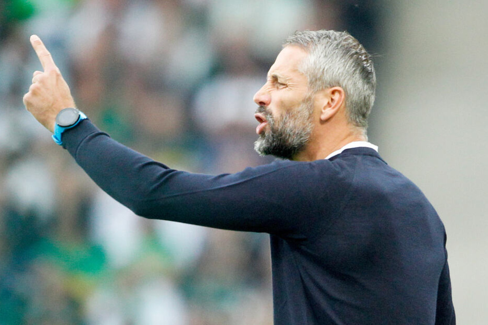 Es sei ihm besonders wichtig, sagte Gladbach-Trainer.