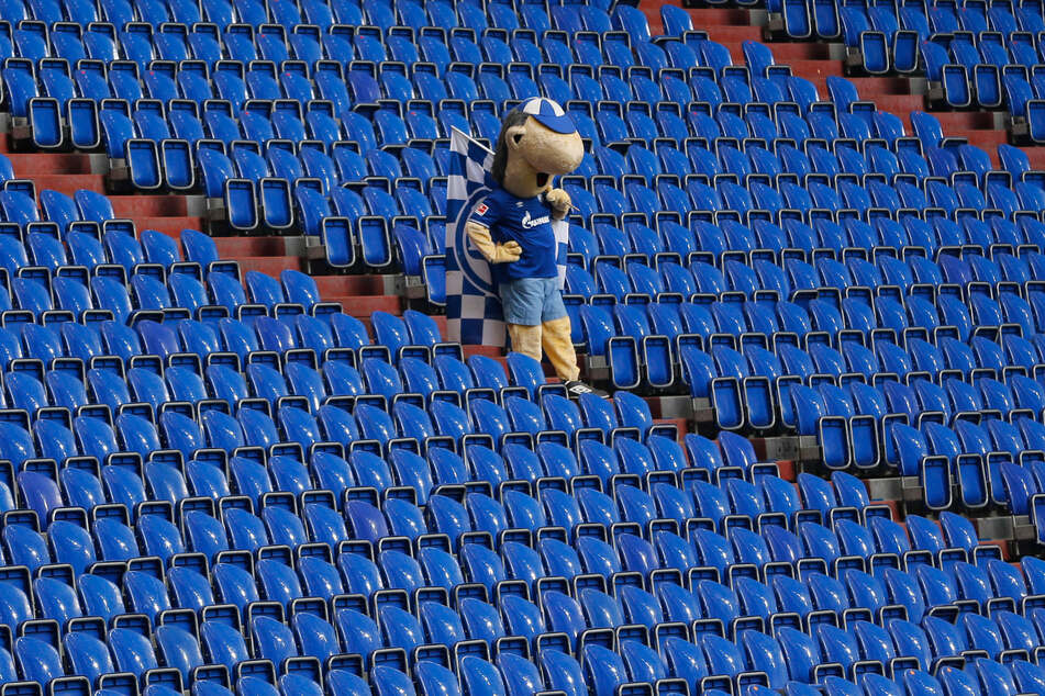 Schalke-Maskottchen Erwin. Gibt's nächstes Jahr doch noch einmal Erstliga-Fußball zu sehen? Hoffnung gibt es zumindest wieder ein wenig.