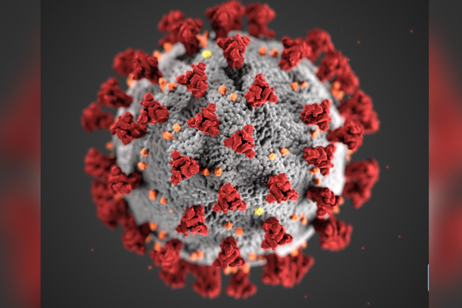 Das Coronavirus. (Illustration)