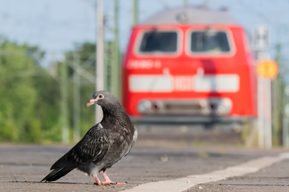 Lokführerstreik: "Großes Chaos" an NRW-Bahnhöfen bleibt aus