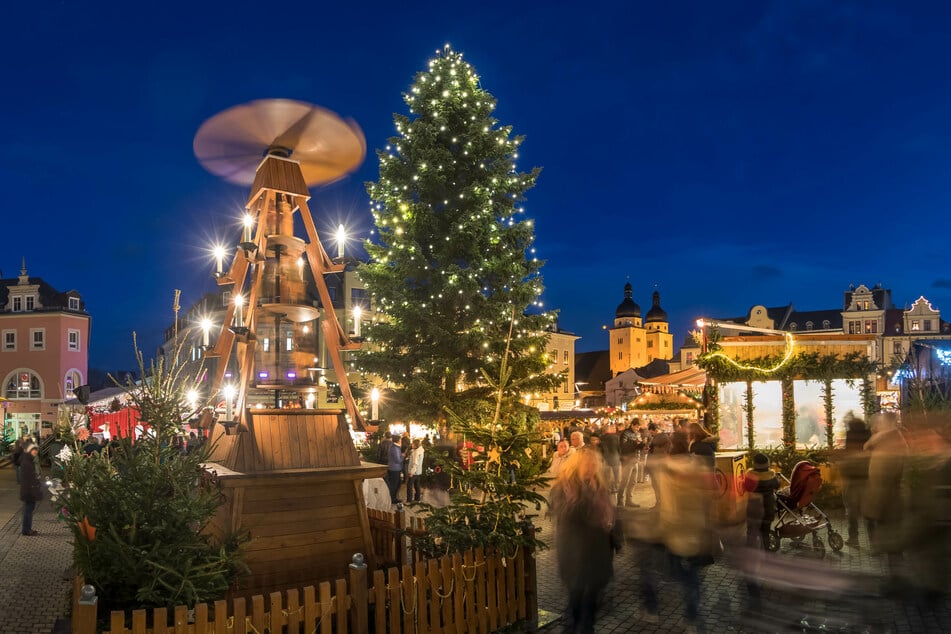 Plauen sucht zwei stattliche Weihnachtsbäume für den Kloster- und den Altmarkt.