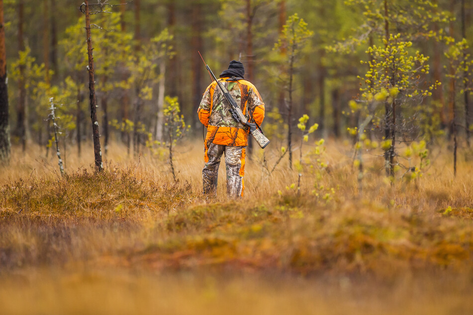 Mark David went moose hunting on a private property in Tillamook (stock image).