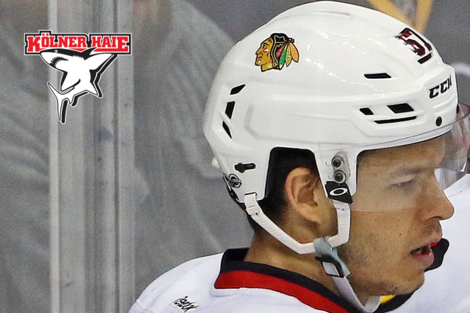 Kurz vor DEL-Start: Kölner Haie verpflichten Ex-NHL-Star