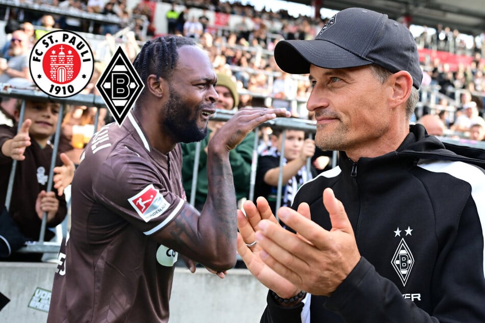Die Kobra beißt zu! St. Pauli zügelt die Fohlen