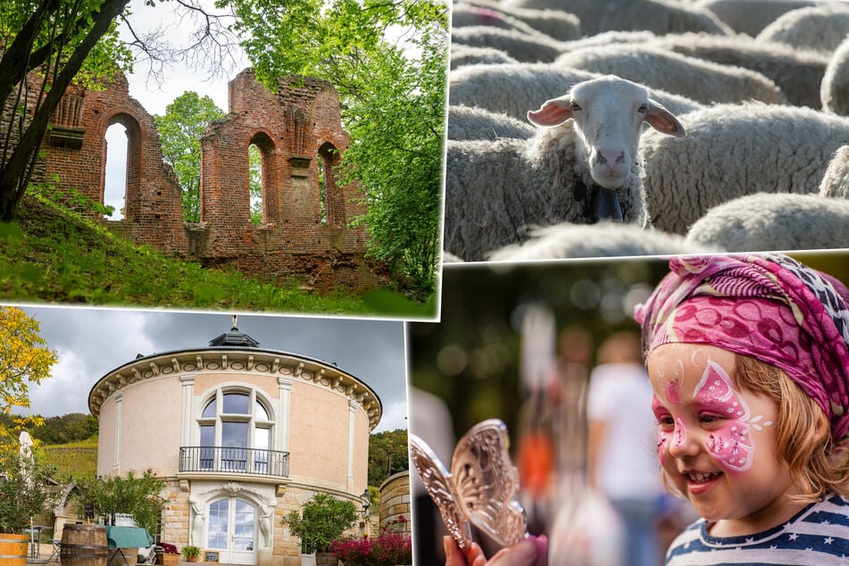 Dresden: 8 Tipps für Euren Sonntag in Dresden und Umgebung