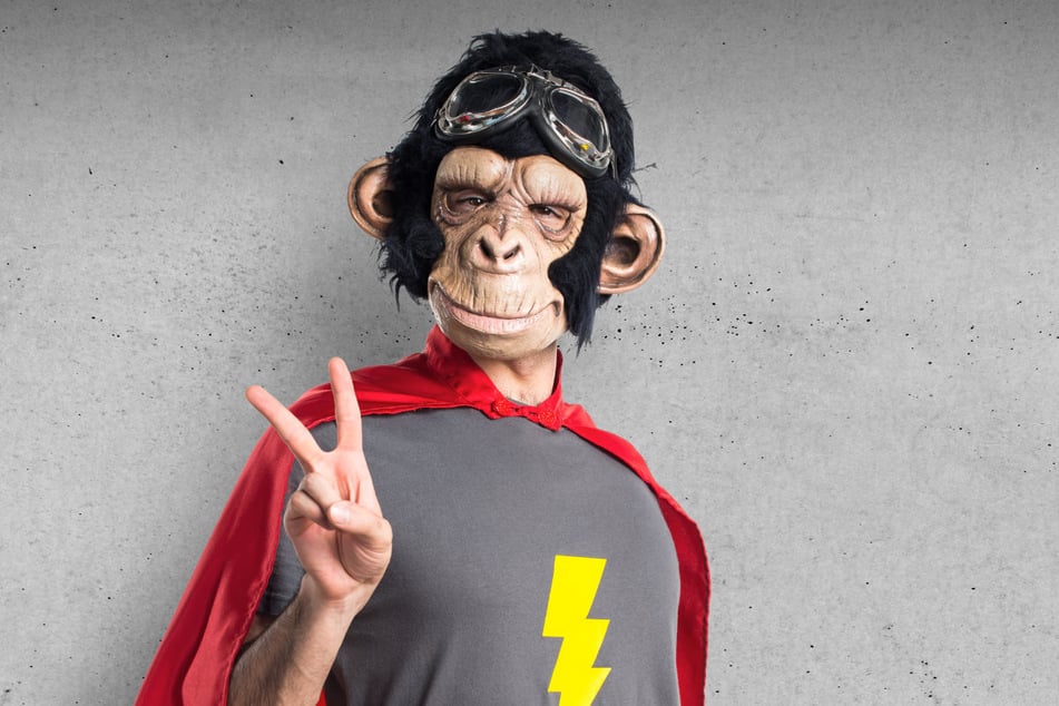 Die Polizei sucht nach einem Unbekannten, der in einem Affenkostüm einen Gast (45) geschlagen haben soll. (Symbolfoto)