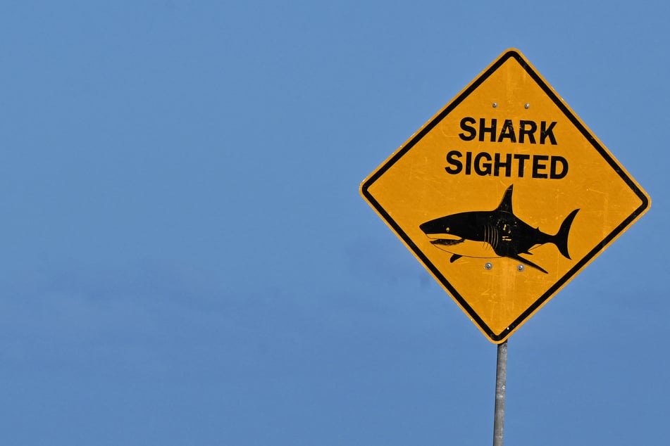 Brutal shark attack leaves 12-year-old boy in critical condition